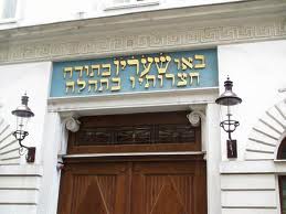 viena judaica logo